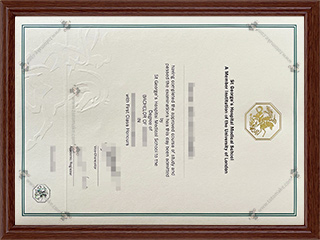 伦敦大学圣乔治学院毕业证SGUL diplomaSt Georges University of London diplomaSt Georges diploma1