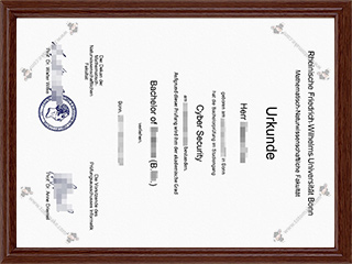 波恩大学数字与自然科学学院毕业证University of Bonn Mathematisch Naturwissenschaftlichen fakultat diploma1