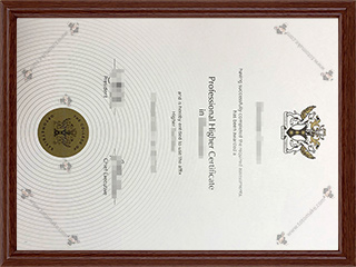 验光师学院毕业证College of Optometrists diploma1
